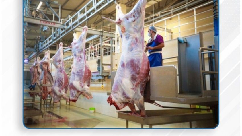 Qurbanlıq heyvanların satışı və kəsimi xidmətləri göstəriləcək ünvanlar açıqlanıb