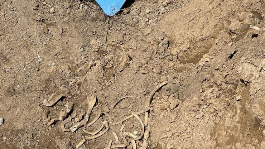 Ağdamda insan skeletinə bənzər sümük fraqmentlər aşkar ediib, araşdırma aparılır